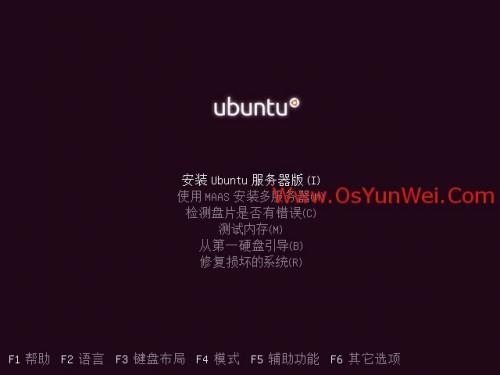 Ubuntu Server 13.10 安装配置图解教程