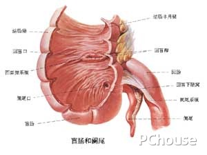 阑尾炎手术后的注意事项