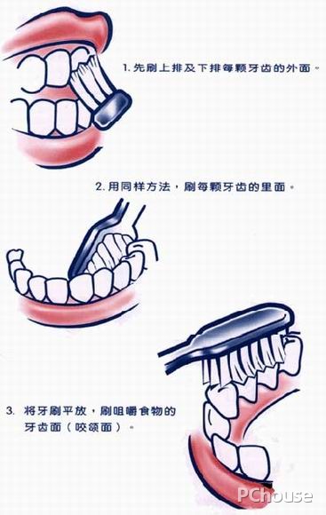 刷牙的正确方法