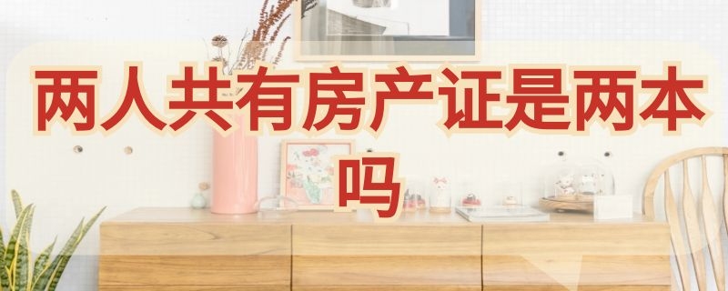 两人共有房产证是两本吗