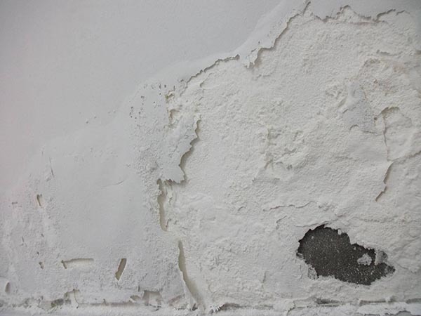 多雨潮湿墙面易发霉 潮湿发霉的墙面要怎么修复 