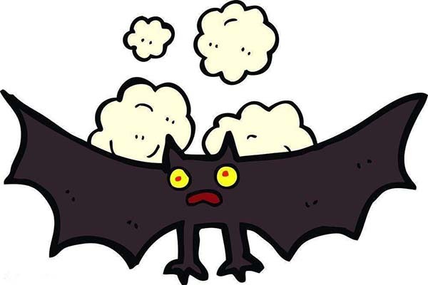 蝙蝠飞到家里会传染冠状病毒吗 蝙蝠会趁人睡觉咬人吗 蝙蝠飞入卧室意味着什么