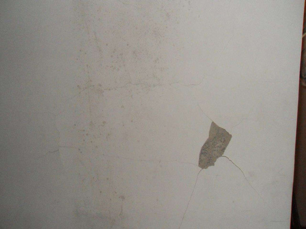 降雨增多导致墙面发霉 油漆墙面发霉要怎么处理 