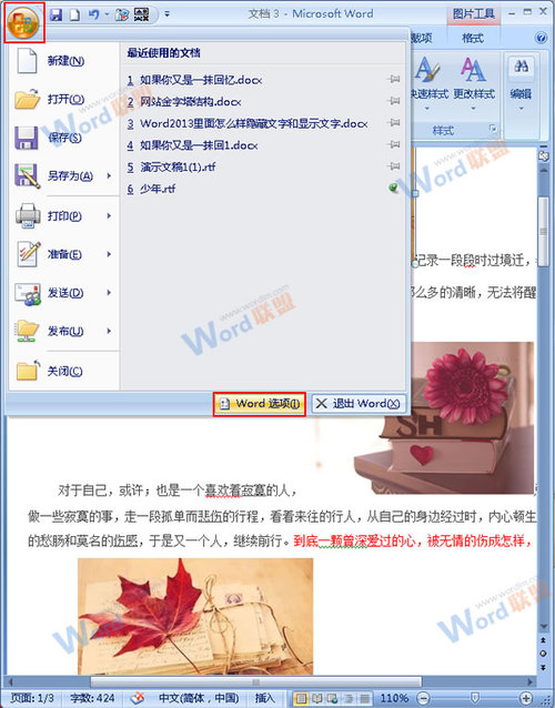 在Word2007中通过隐藏图片来提高浏览速度