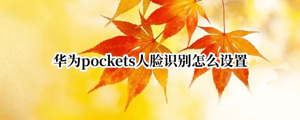 华为pockets人脸识别怎么设置（pocket2华为share）