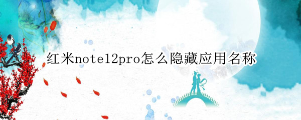 红米note12pro怎么隐藏应用名称（红米note10如何隐藏应用）