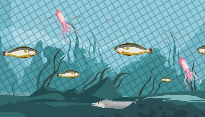 活性炭在海水缸里能用多久