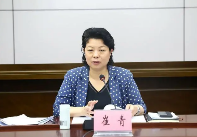 突然落马的女原副市长，被批既想当官又想发财