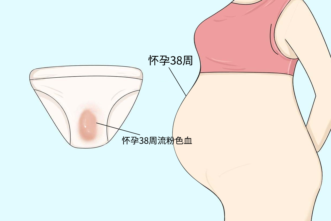 孕38周粉色分泌物图片（孕38周粉色分泌物图片大全）