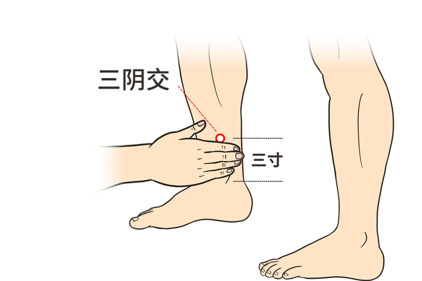 大人脾胃虚弱按摩图解