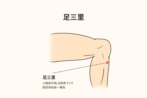 大人脾胃虚弱按摩图解