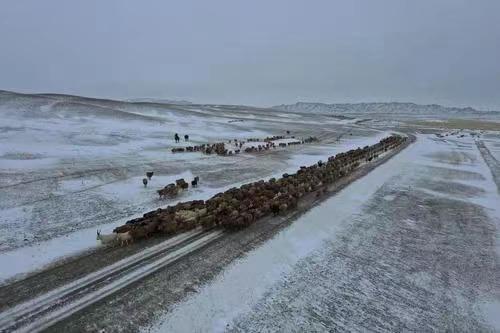 -48.6 ℃！新疆阿勒泰有多冷？当地人：遭遇风吹雪 门口积雪超1米