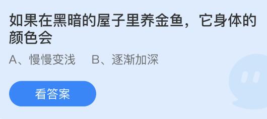 蚂蚁庄园12月1日答案最新：足球比赛的主裁可以把自己罚下场吗？在黑暗屋子里养金鱼它的身体颜色会？