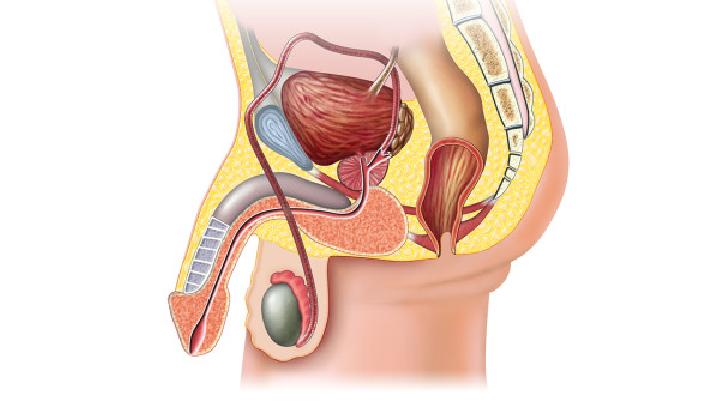 5种疾病会导致男性功能障碍（有哪些因素会导致男性疾病??）