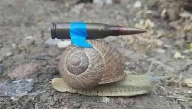 俄乌持久战，俄罗斯急需的关键零件，要从印度买