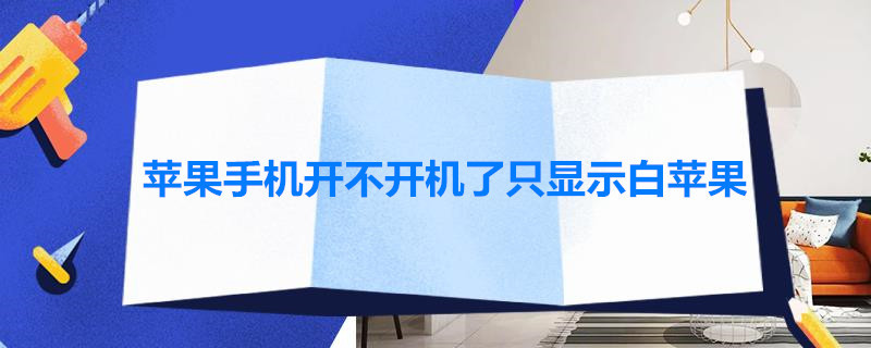 苹果手机开不开机了只显示白苹果（苹果手机开不开机了只显示白苹果维修多少钱）