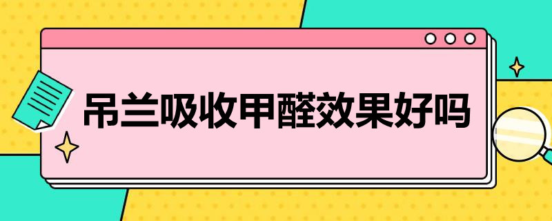 吊兰吸收甲醛效果好吗 吊兰吸收甲醛效果好吗图片