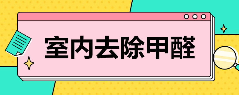 室内去除甲醛 室内去除甲醛的花有哪些