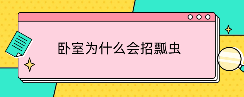 卧室为什么会招瓢虫 卧室招瓢虫怎么办