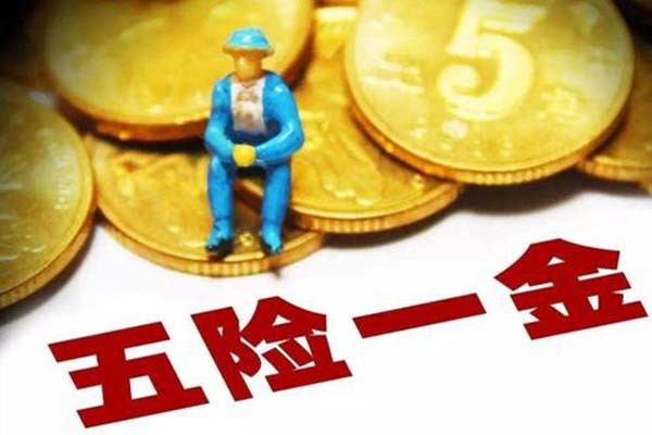 公司只交五险不交一金 一金不交可以自己交吗 有五险没有一金后果