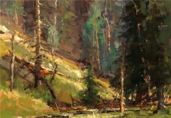 康辉地板自然印象系列 康辉实木地板