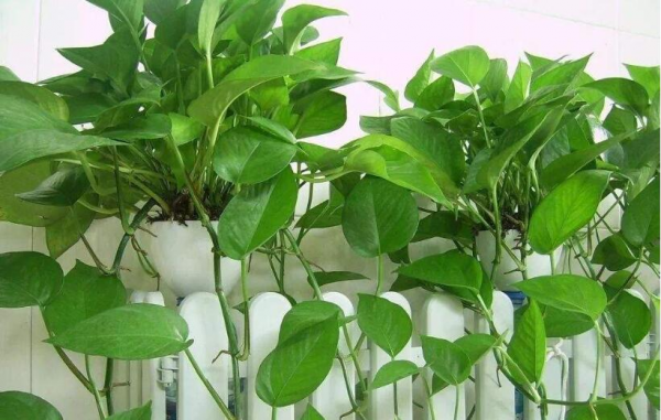 通风≠除甲醛,这2点没处理好,通风再久也难逃甲醛反弹再超标 通风≠除甲醛,这2点没处理好,通风再久也难逃甲醛反弹再超标