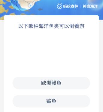 以下哪种海洋鱼类可以倒着游（什么鱼可以倒着游）