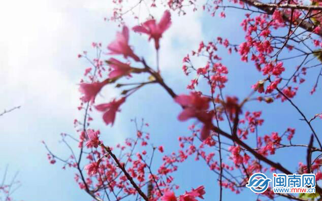 除夕朋友圈文案说说 除夕快乐朋友圈文案