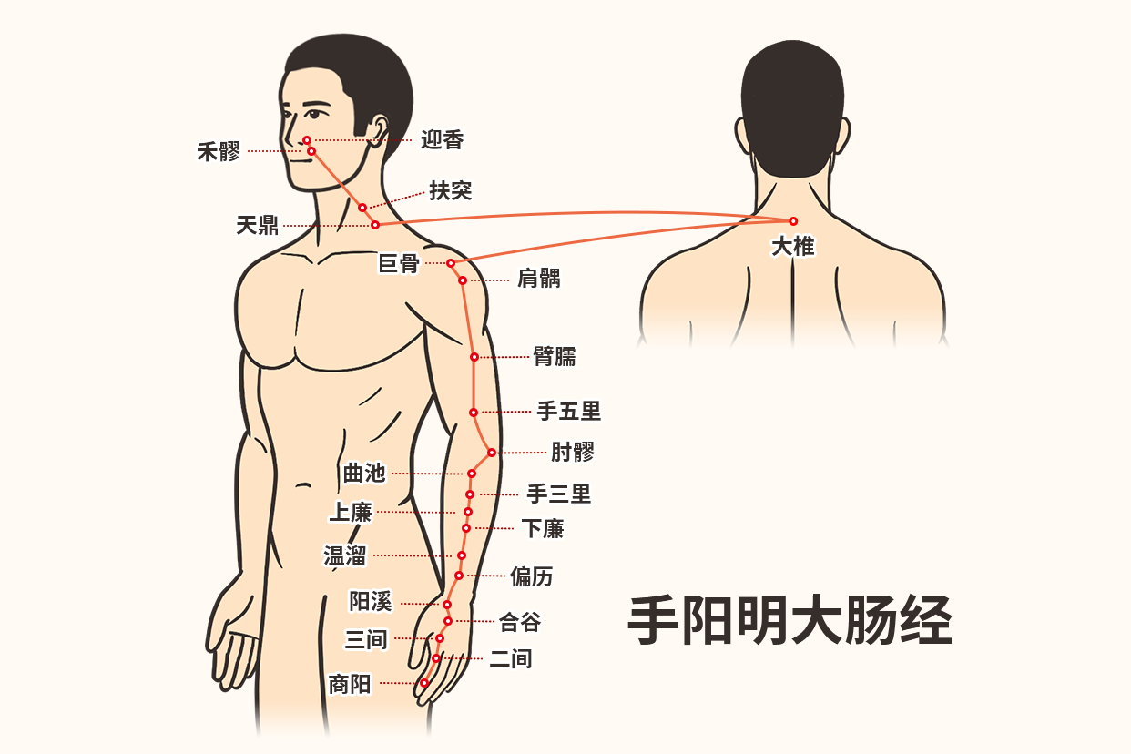 大肠经通便刮痧示意图