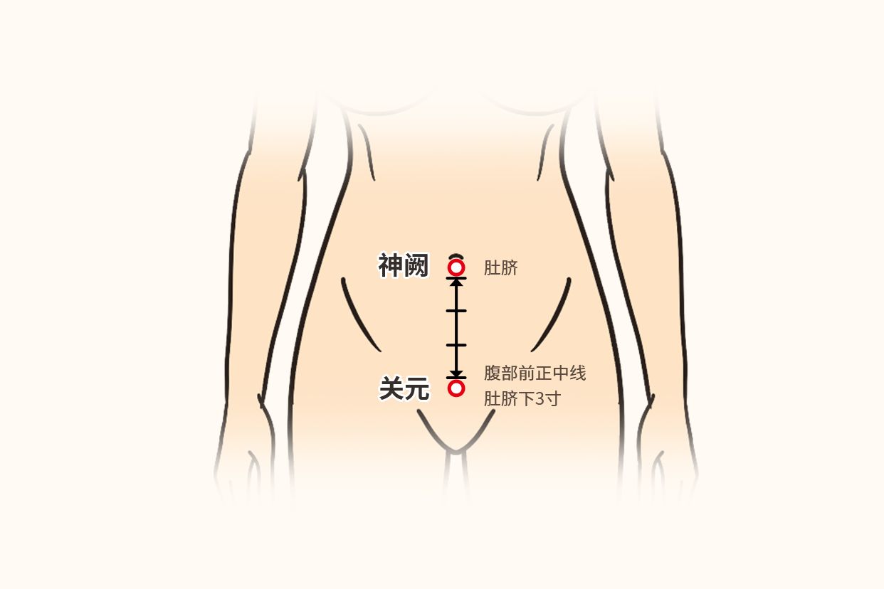 女人肾阳虚按摩什么部位图解