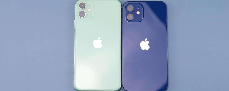 iPhone12和11大小对比 iphone12与11大小一样吗