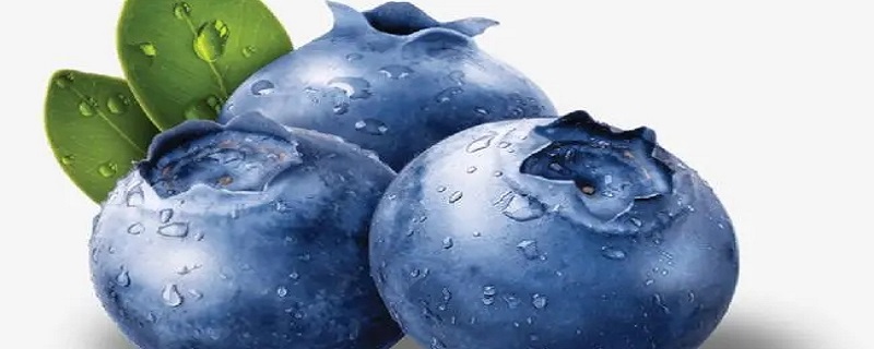 12月份有蓝莓吗 12月份的蓝莓能吃吗