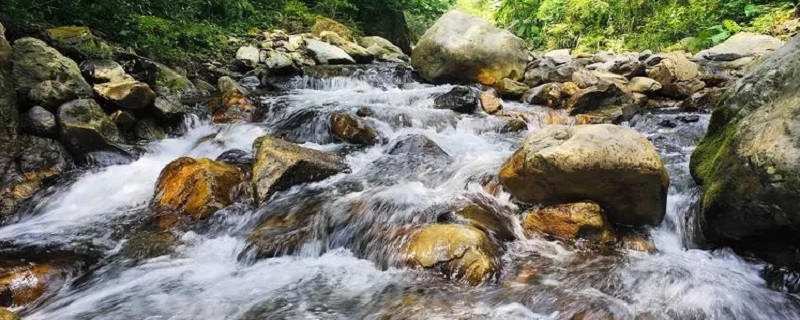 泉水可以直接饮用吗 桶装山泉水可以直接饮用吗