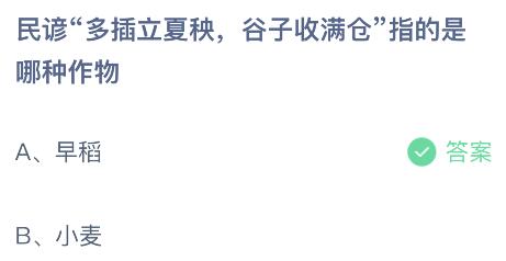 蚂蚁庄园今日答案最新5.6：多插立夏秧谷子收满仓指的是哪种作物？早稻还是小麦