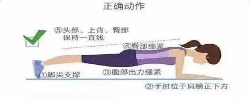 平板支撑减肚子吗 平板支撑能不能减肥肚子