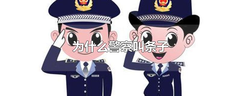 为什么警察叫条子（为什么警察叫条子,到死还没有一个好名声）