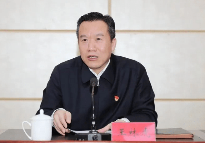 王林虎任青海省副省长，此前已任省政府党组副书记