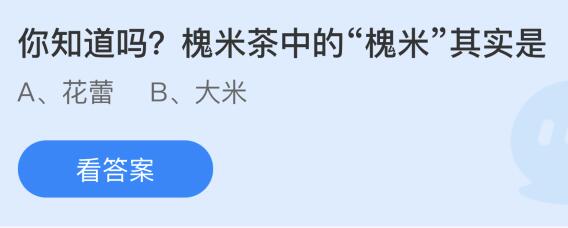 槐米茶中的槐米其实是花蕾还是大米（槐米茶用的是国槐还是洋槐）