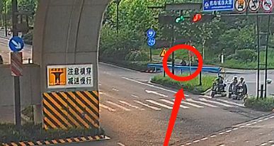 杭州园林部门回应“男子在绿化带迷路被困3天”：草木会及时修剪，事发地或为未开发区域 