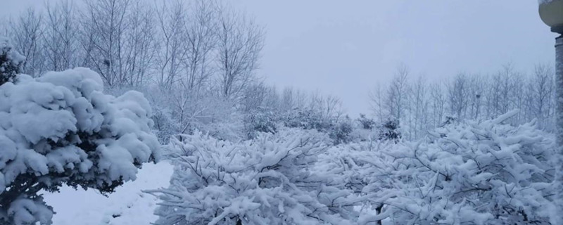 元旦下雪有什么寓意（元旦 下雪）