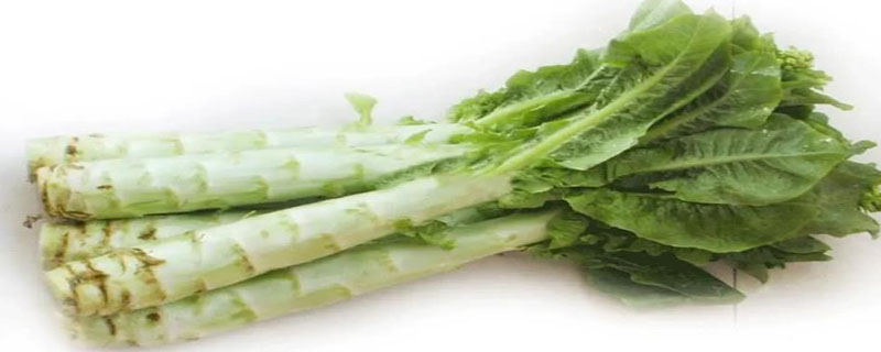 吃茎的蔬菜有哪些 吃茎的蔬菜有哪些?