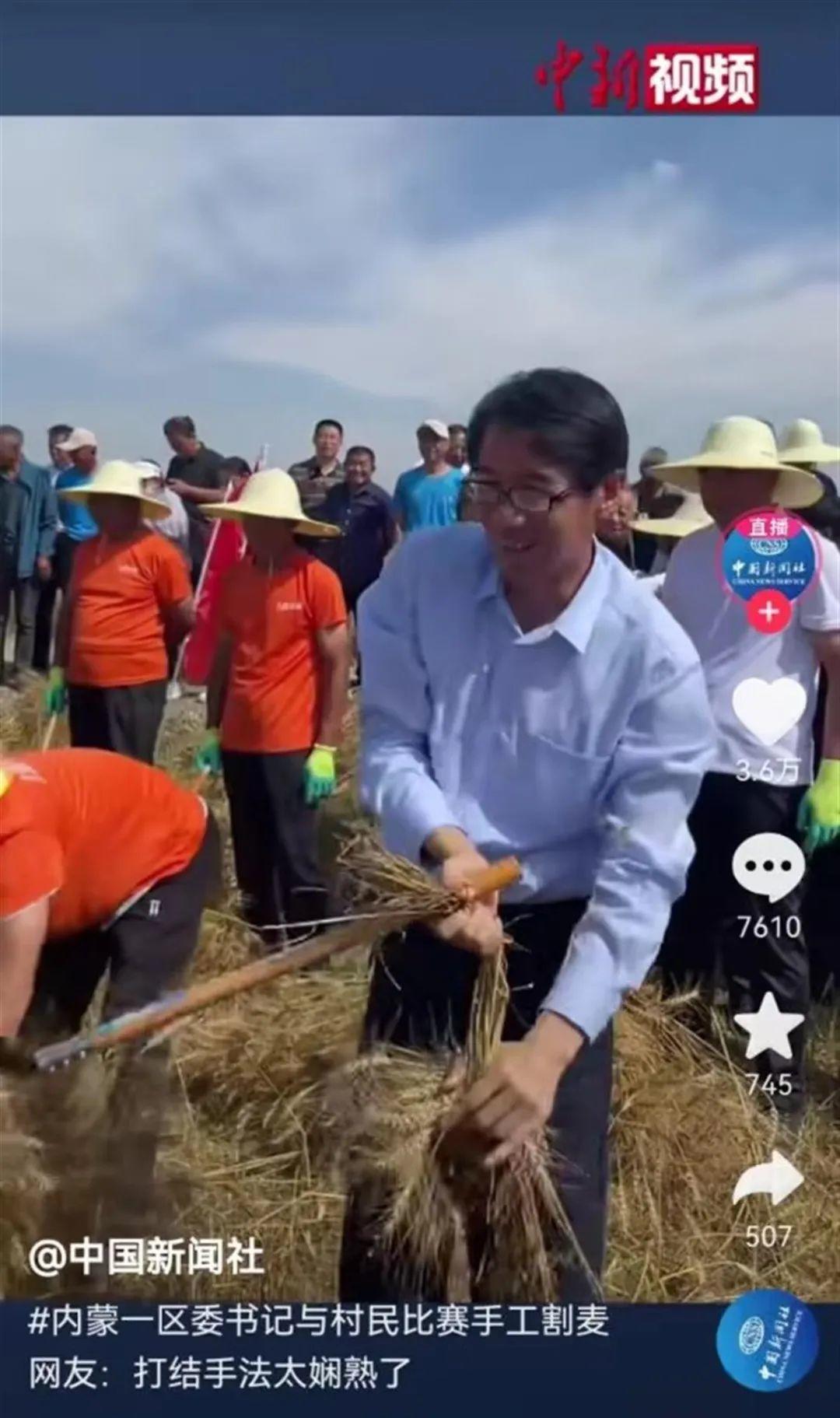 内蒙古一区委书记参加手工割麦比赛被赞“手法娴熟”，曾多次到田间地头调研