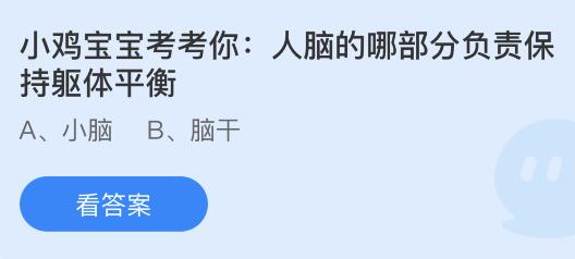 今日蚂蚁庄园小鸡课堂正确答案最新：人脑哪部分负责保持躯体平衡？哪个地方被称为中国第一洲？