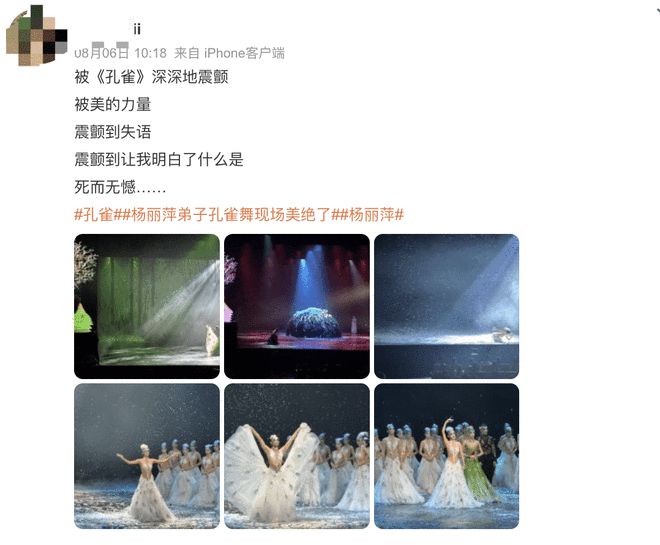 杨丽萍风波再发酵！男舞伴轻生旧闻被重提惹误解