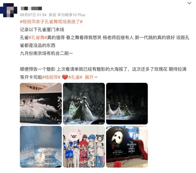 杨丽萍风波再发酵！男舞伴轻生旧闻被重提惹误解