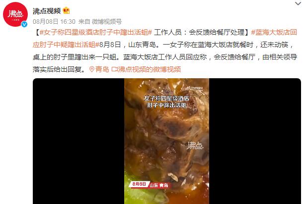 女子称四星级酒店肘子中蹿出活蛆（肘子里面有白色像虫一样的东西）