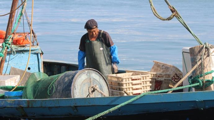 核污水排放后，沿海渔民在担忧什么 核污水排入海的危害