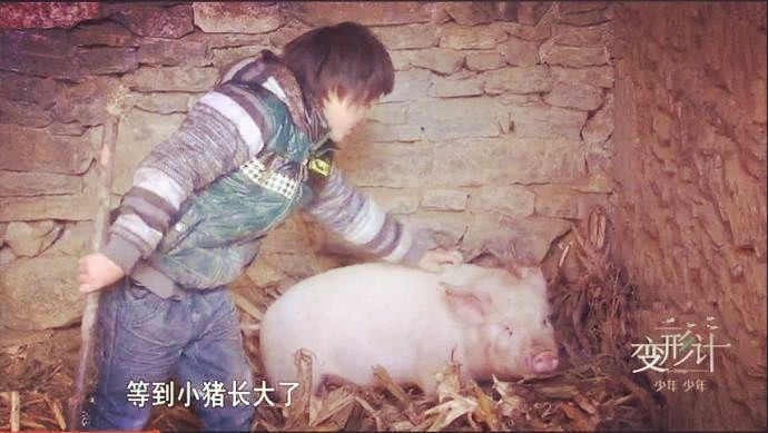 14岁男孩独守大山6年，唯一亲人是1头猪，一年的生活费仅500元
