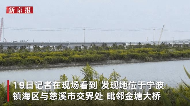 上海失踪女童遗体发现地曝光：距落海地约98公里 遗体表面完整