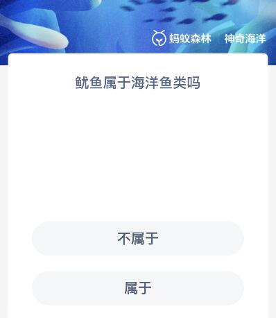 鱿鱼属于海洋鱼类吗 鱿鱼属于海洋鱼类吗蚂蚁